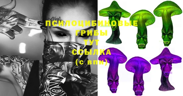 винт Куйбышев