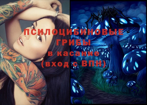 таблы Лабытнанги