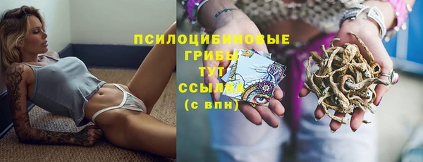 первитин Ладушкин