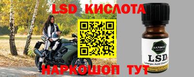 эйфоретик Заволжье