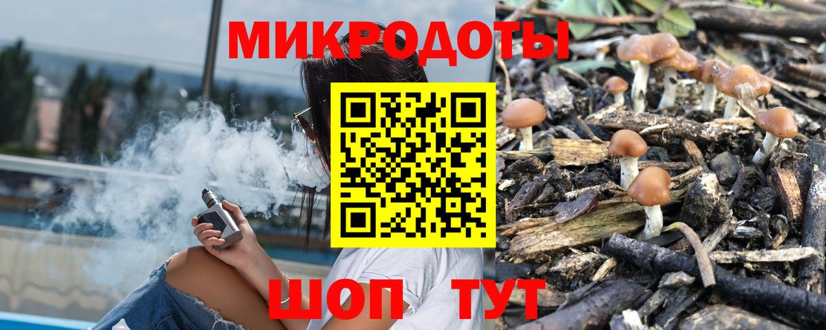 Михайловка  Галлюциногенные грибы MAGIC MUSHROOMS  Вход с VPN 