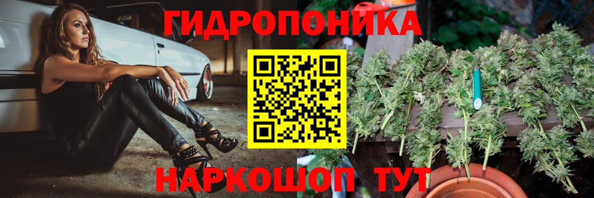 Каннабис LSD WEED  Канабис планчик  Вход с VPN  Михайловка  Шишки марихуана тримм 